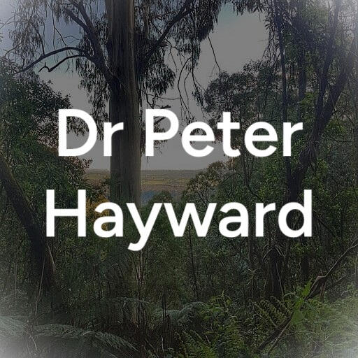 Pilot - Dr Peter Hayward