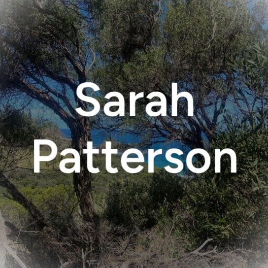 S01E02 - Sarah Patterson
